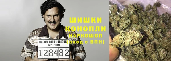 стафф Кулебаки