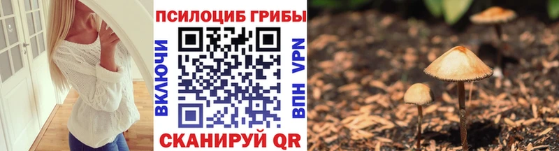 Псилоцибиновые грибы Magic Shrooms  Купить закладки  Лихославль 
